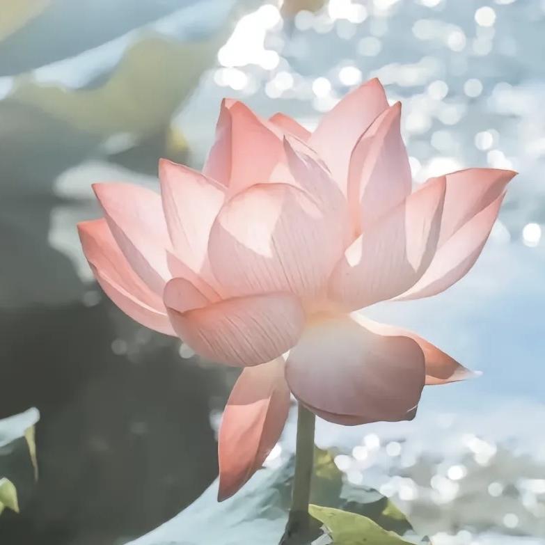 臻桂广告优选馆