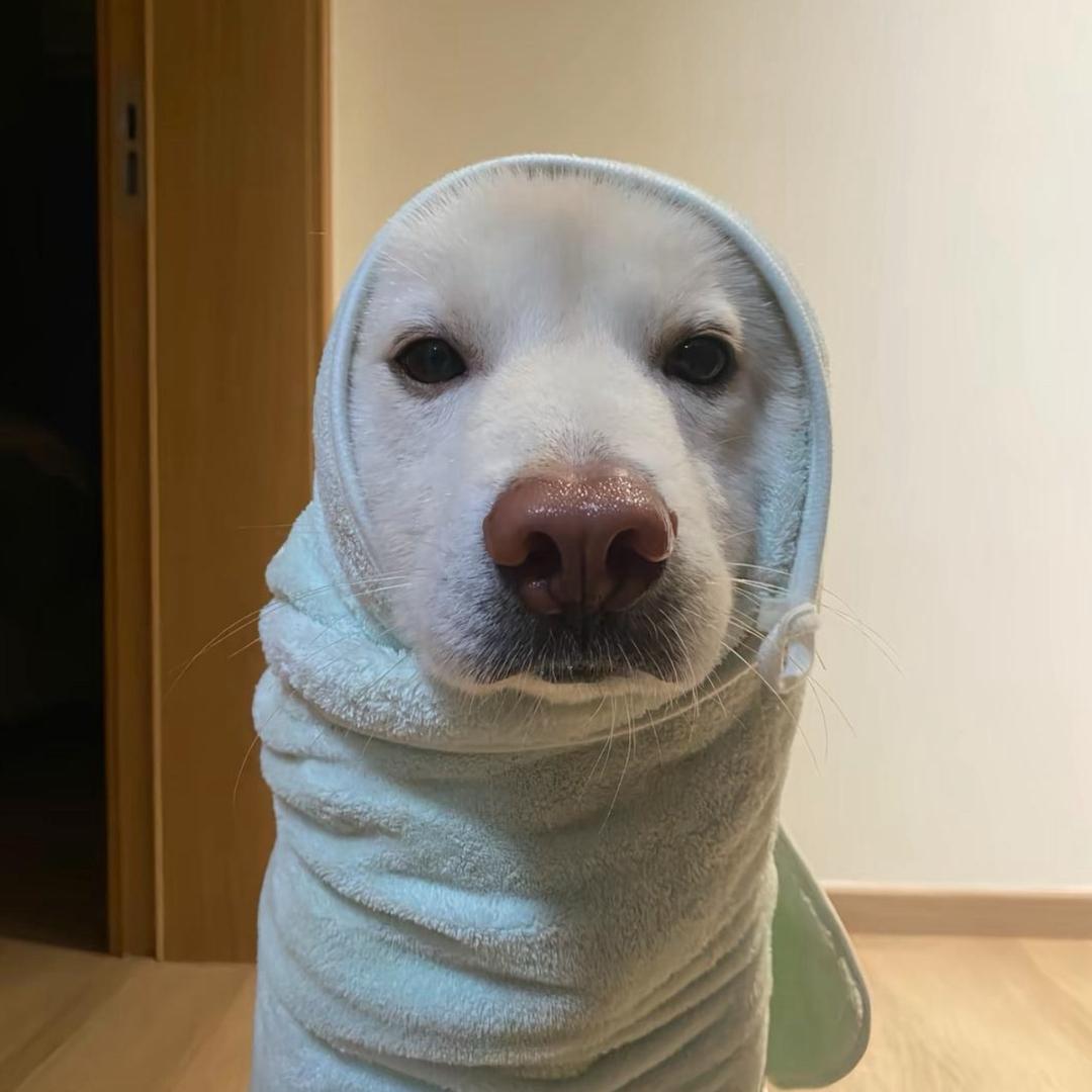 Mooㅤㅤㅤㅤㅤㅤㅤn