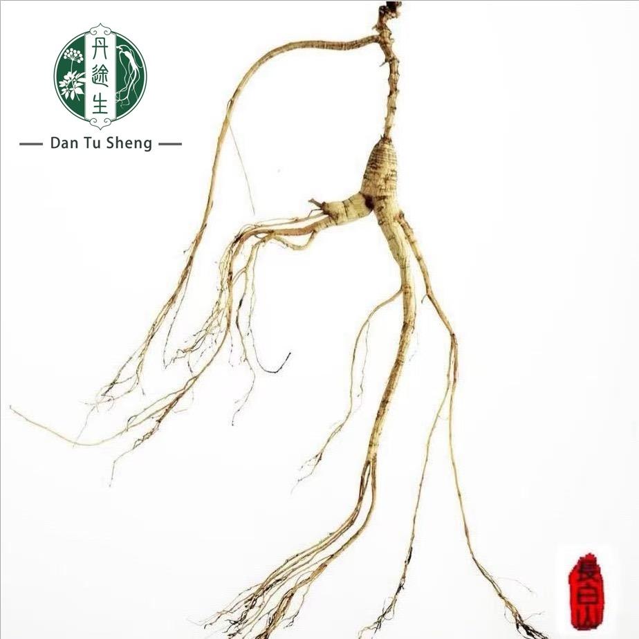 长白山参之源滋补养生堂（参茸礼盒）