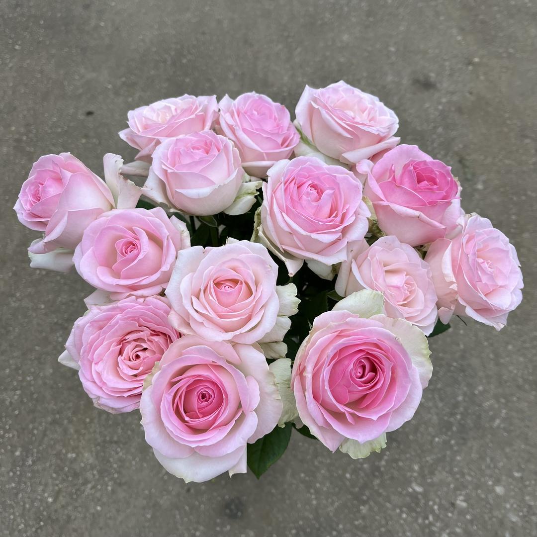 芳香鲜花铺子