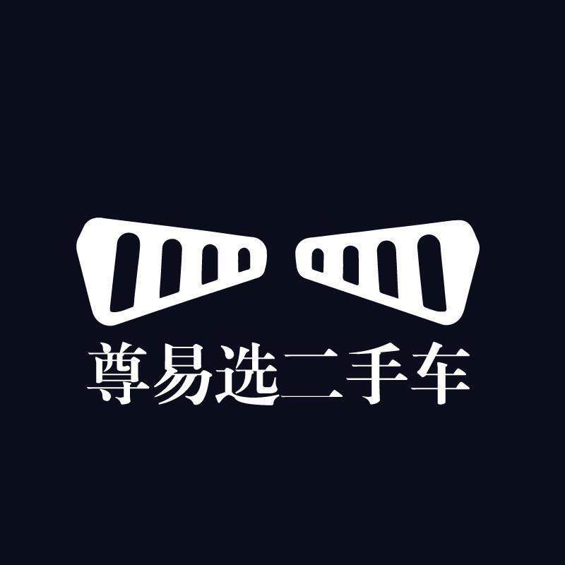 尊易选二手车晶晶