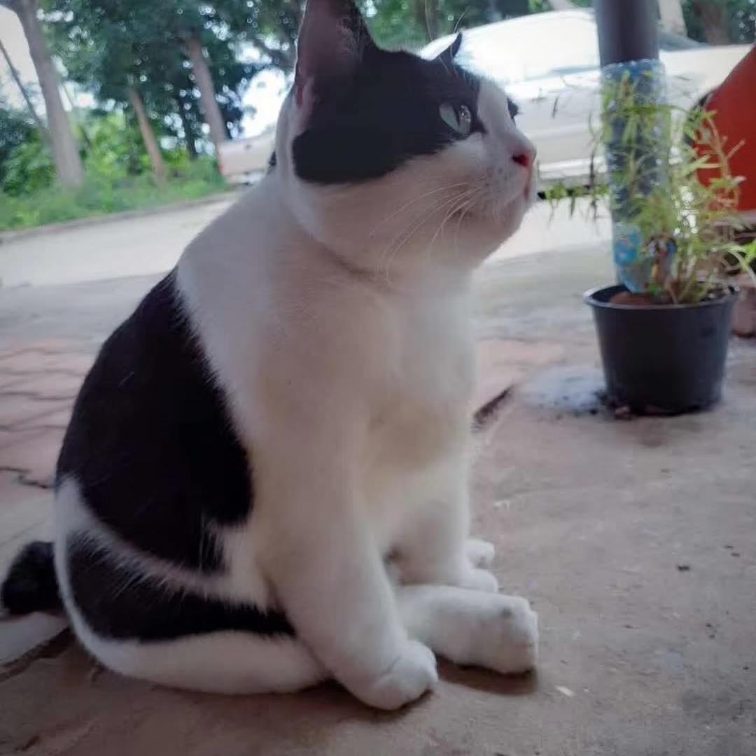 啊，唔知啊~