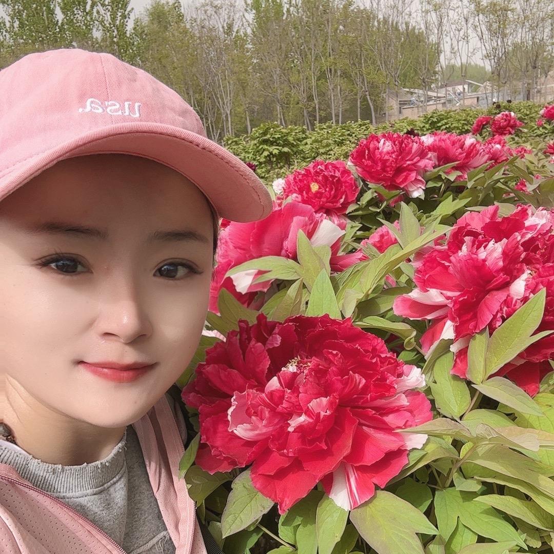 菏泽梦香牡丹