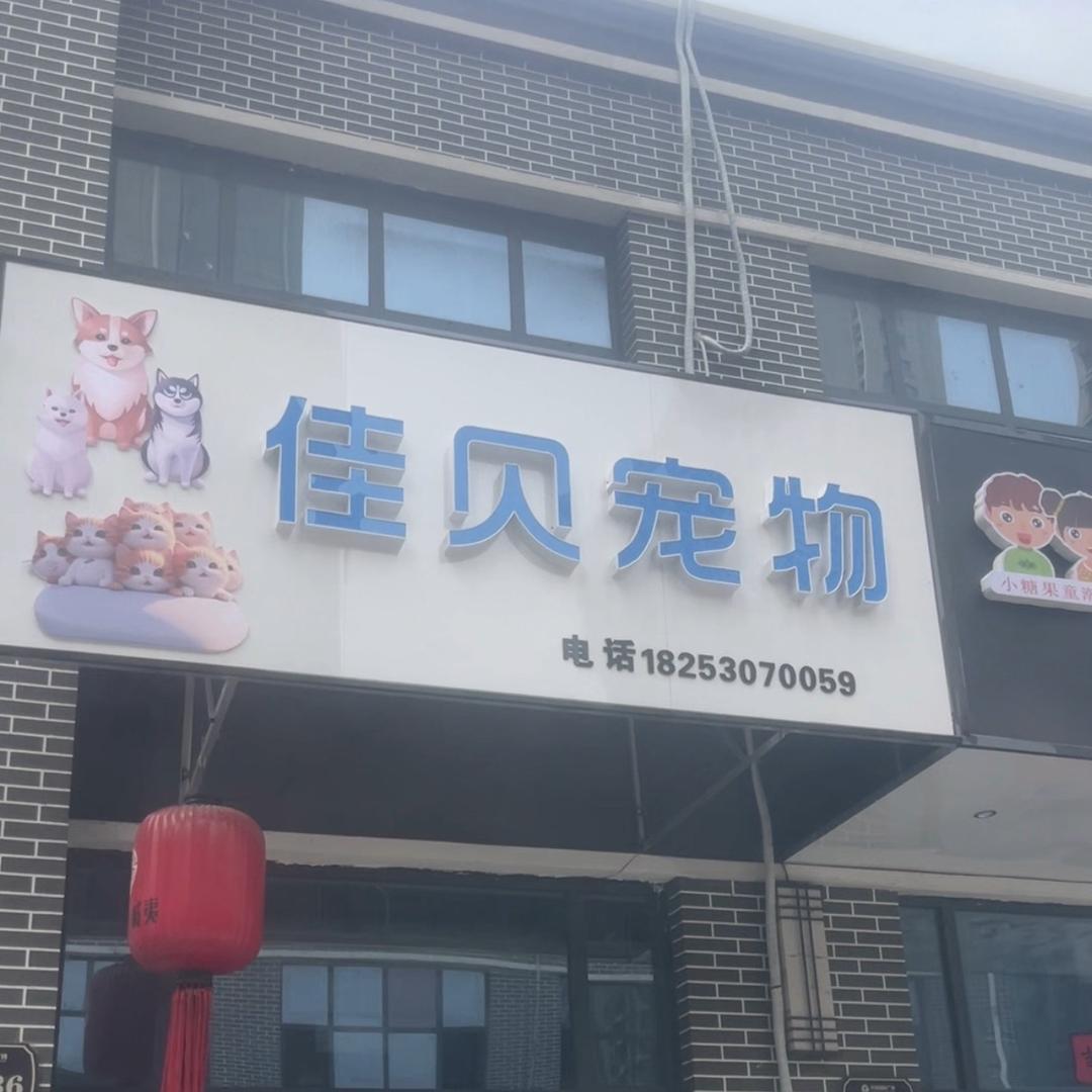 醉饮红尘