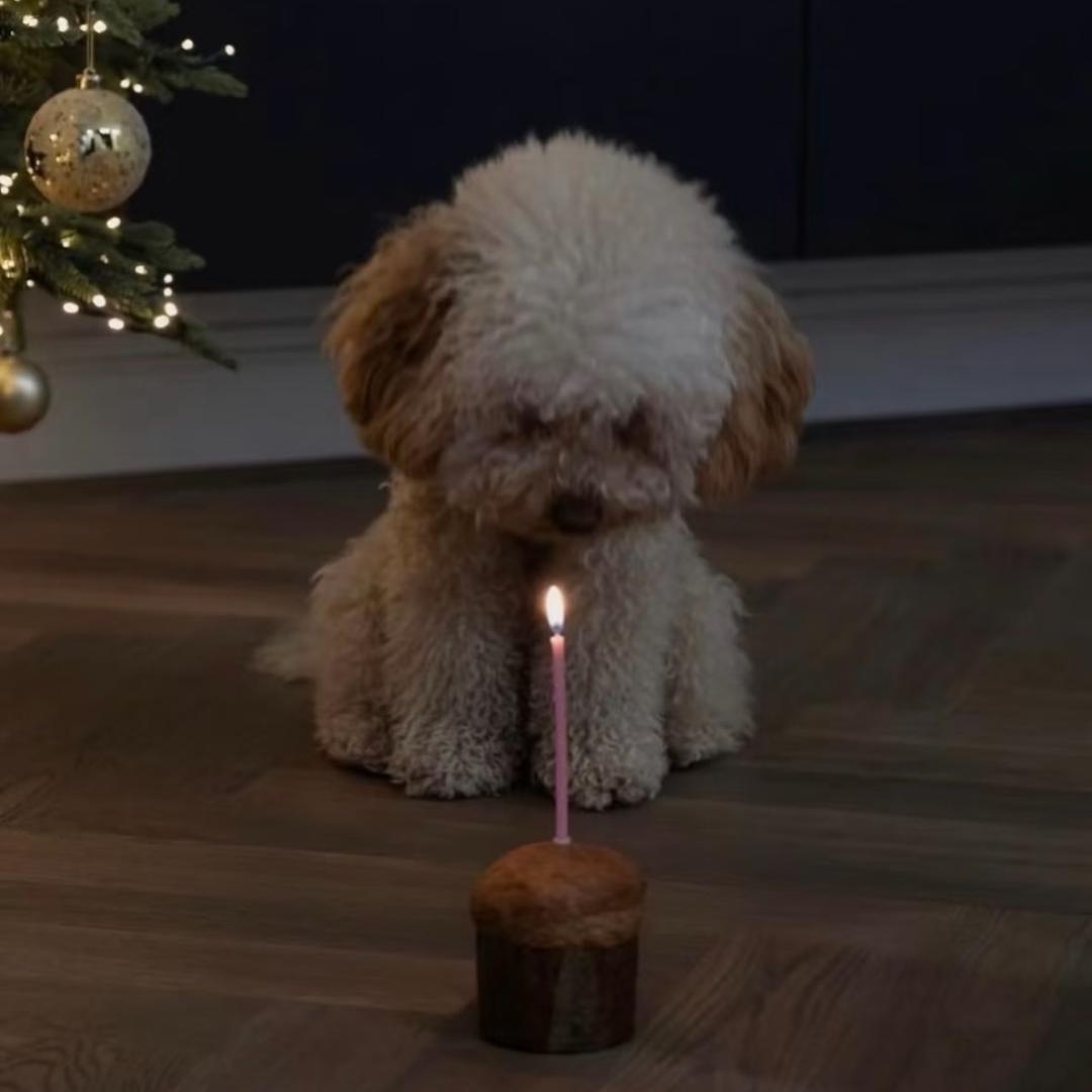 绿豆汤