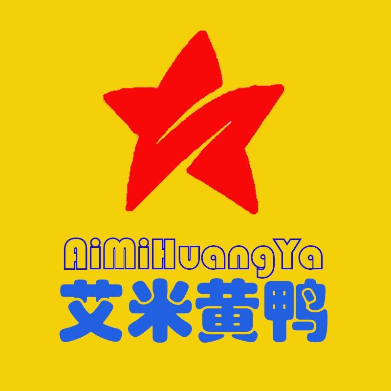 艾米黄鸭童装店