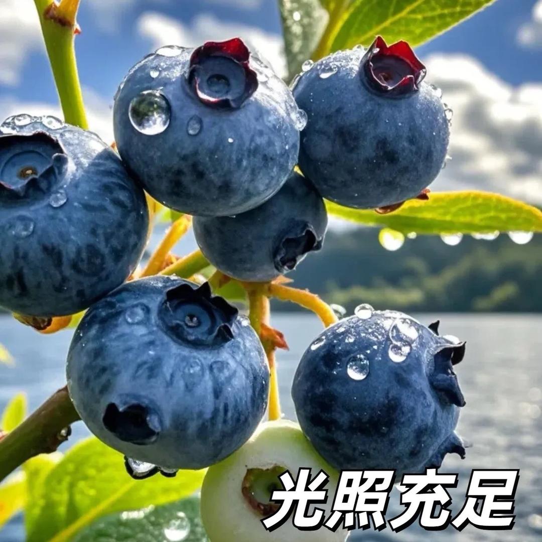 小游戏精髓