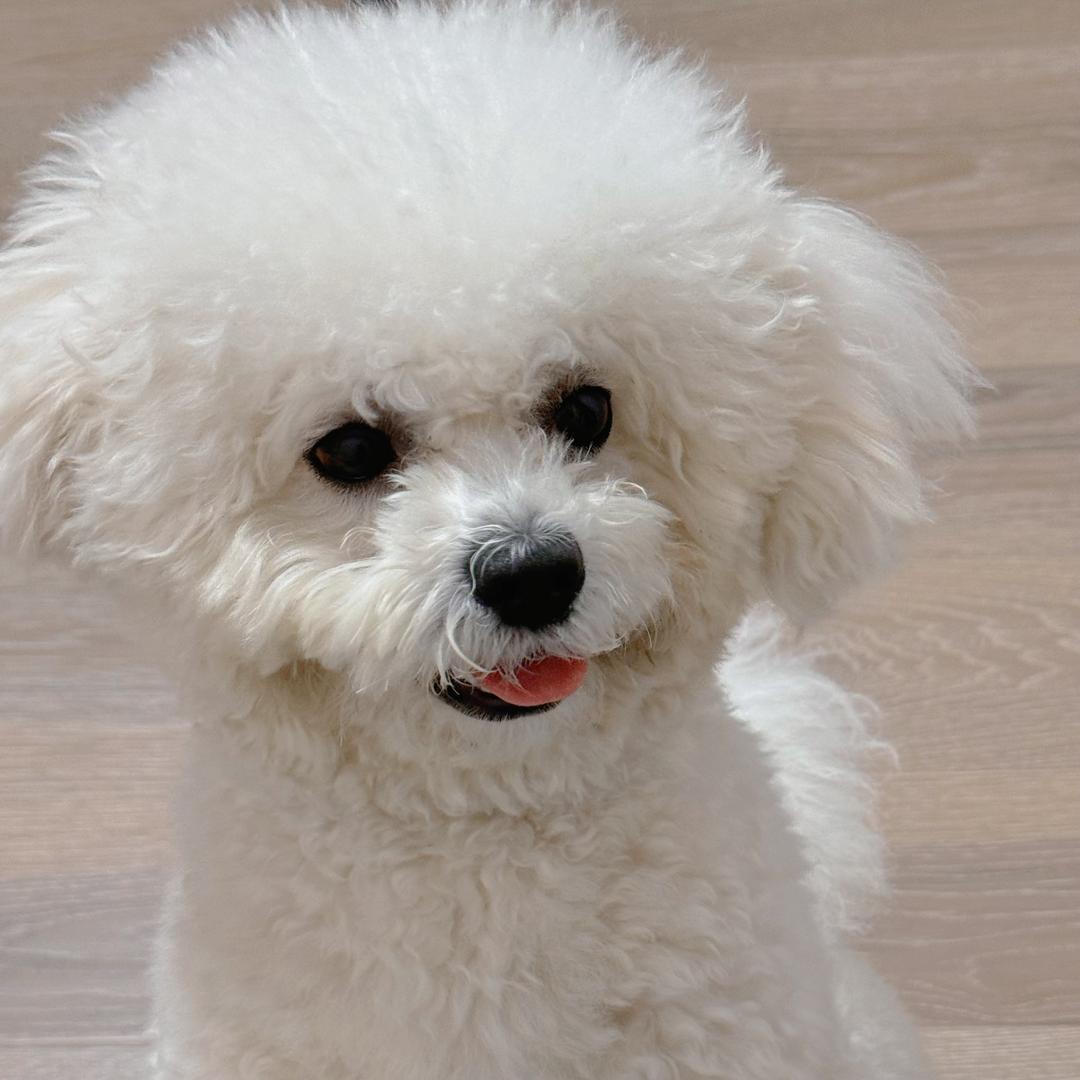 天天开心的天天呀