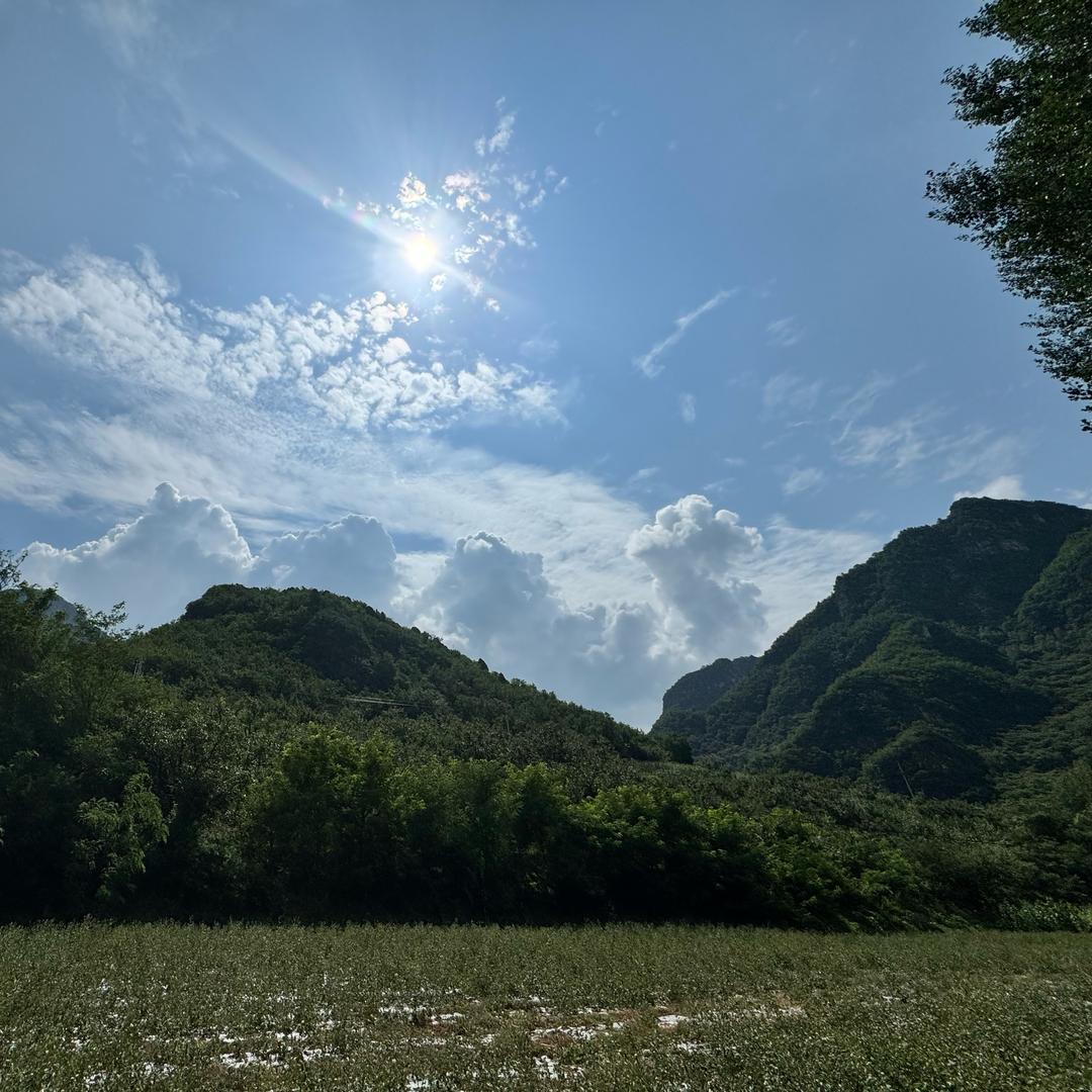 无名之辈就是我