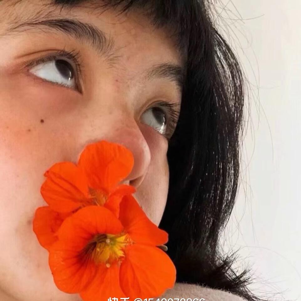 木有枝