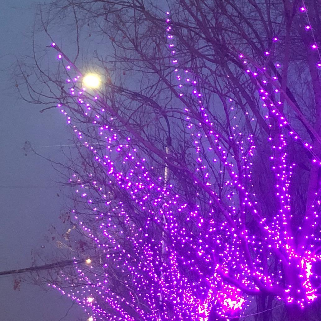 💫财🌾有岩✨