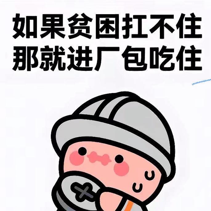 富士康 钟无艳 R  进厂加俺