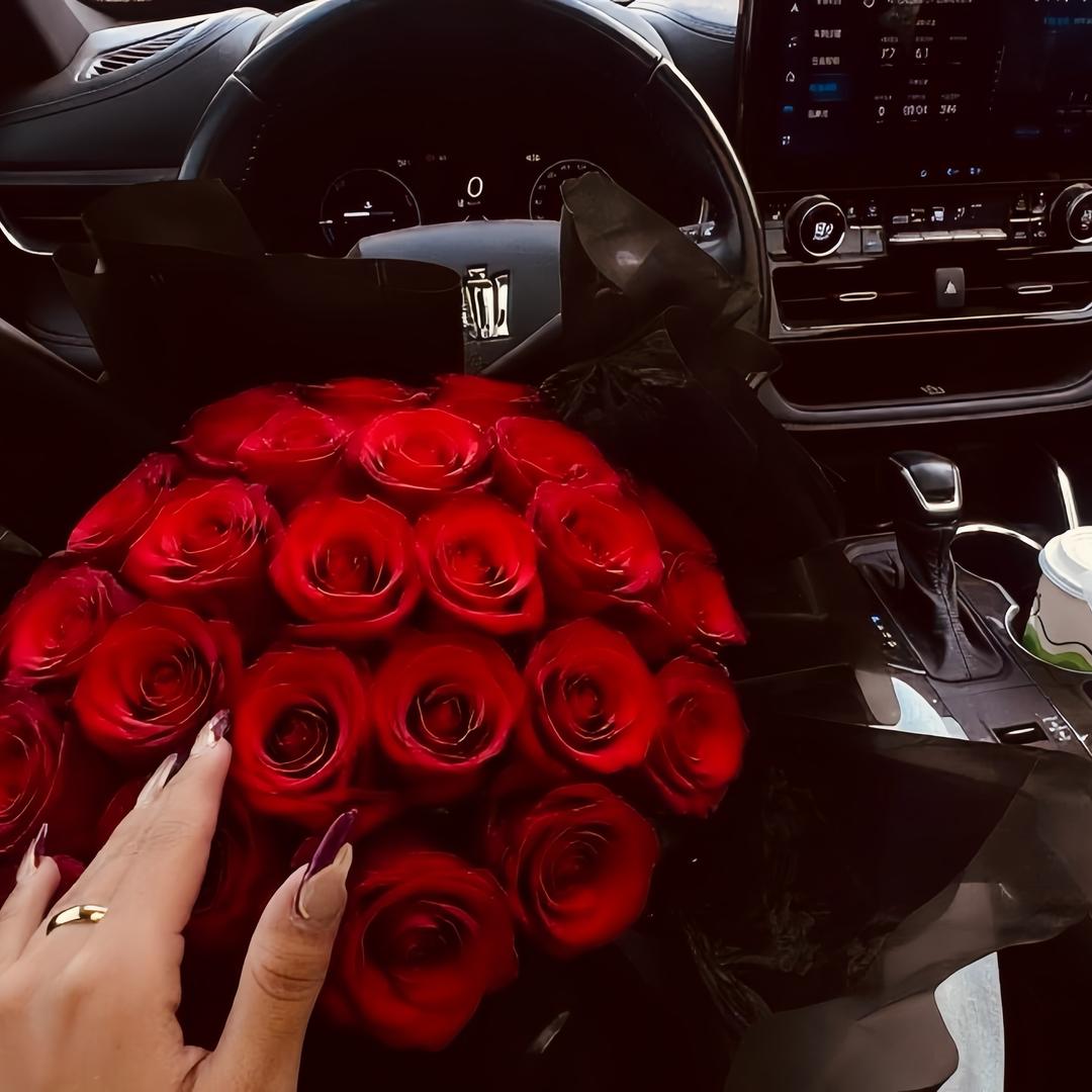 نۇربىيەـ