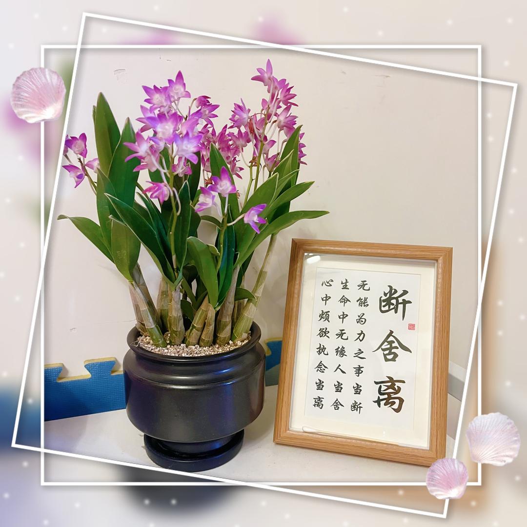 静静