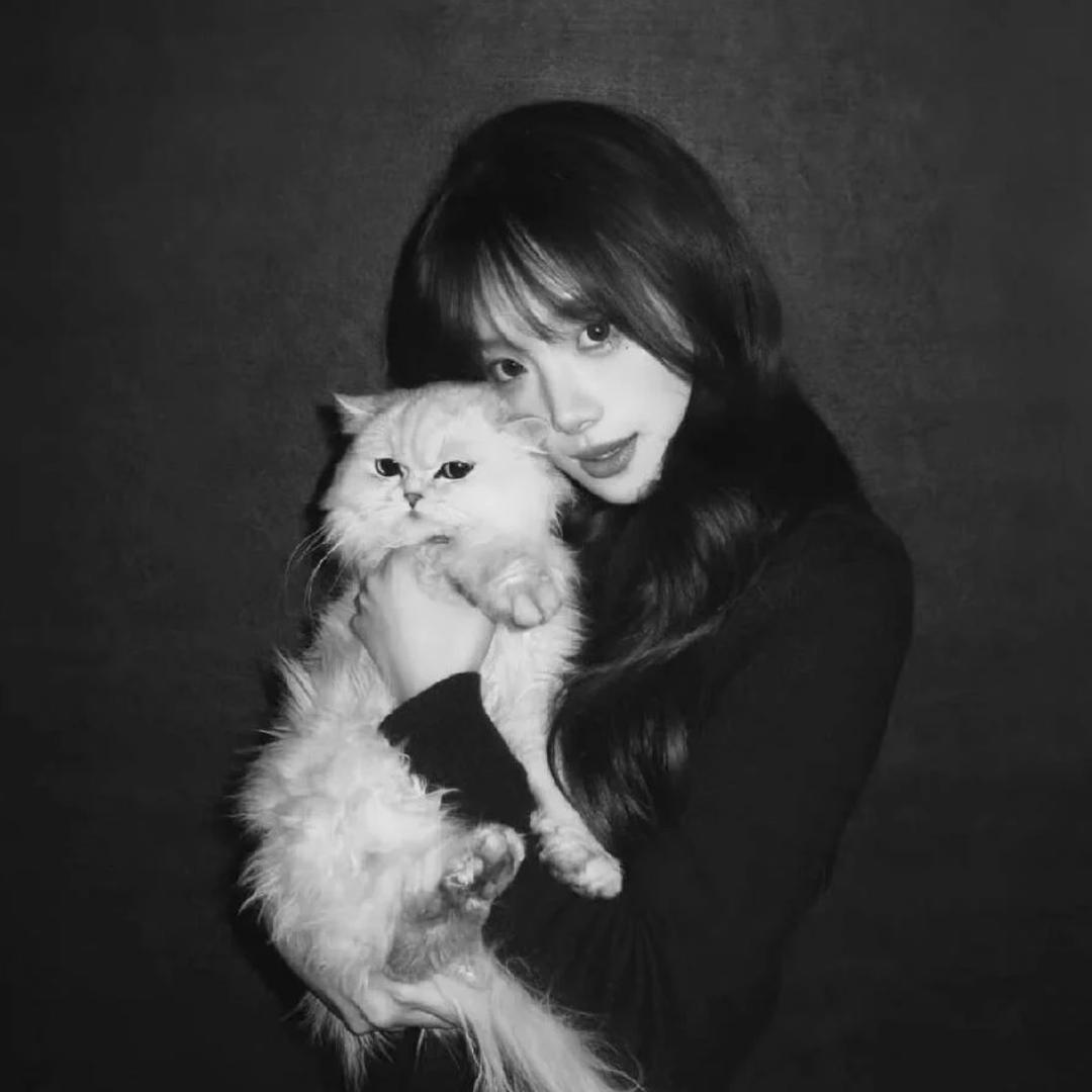 吱瑶-