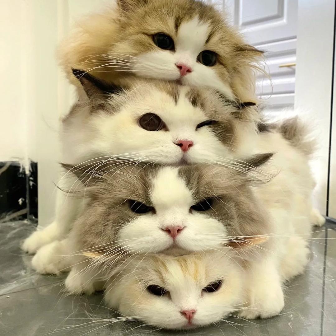 一薪一亿