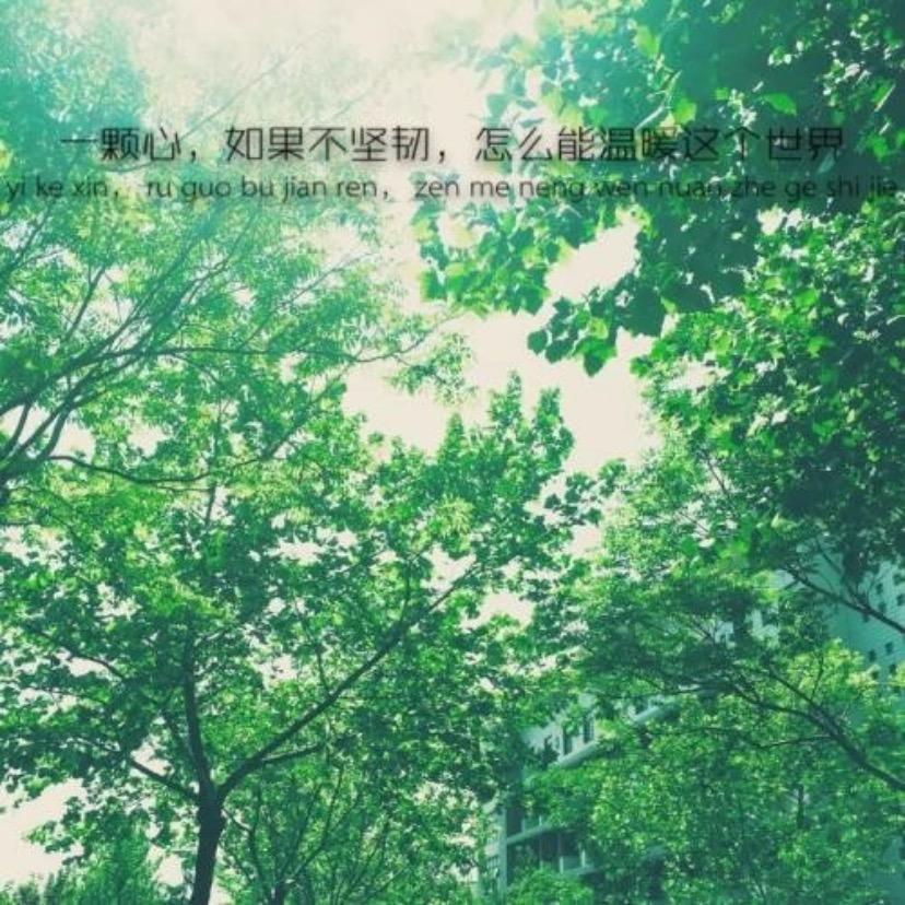 初心🍒