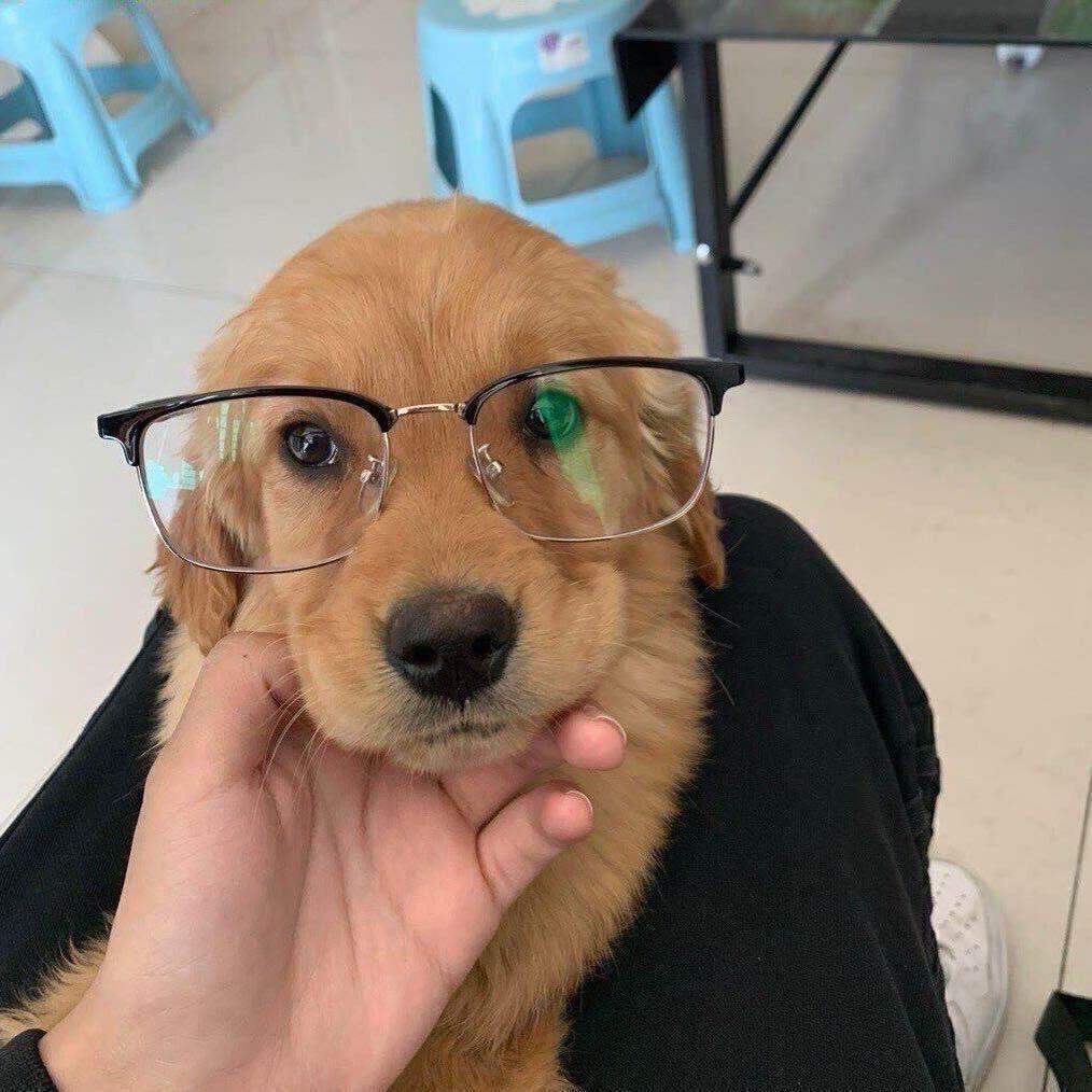 朱朔烁朔硕