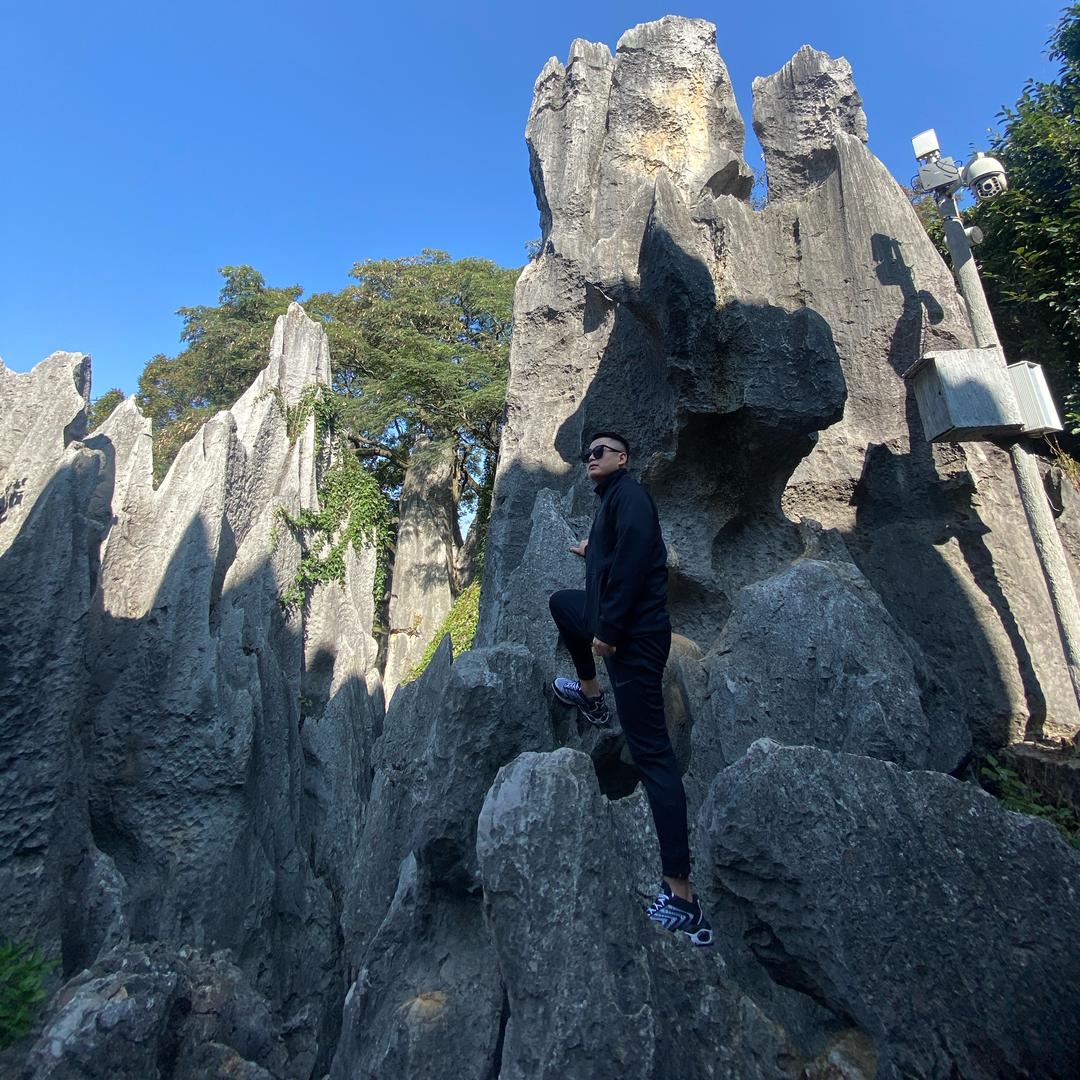 满山的猴子我腚最红🐒