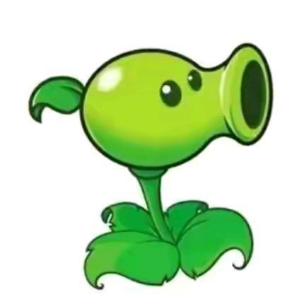 💚💚💚💚💚💚💚💚💚💚