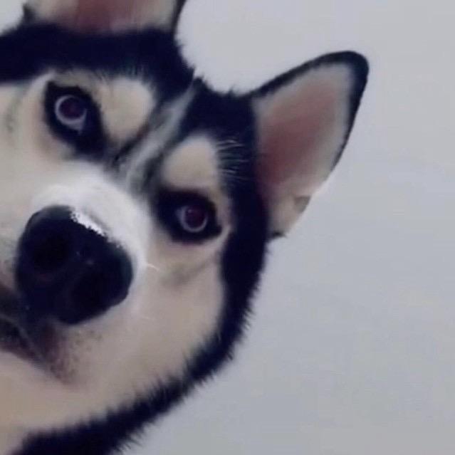 不是帅哥
