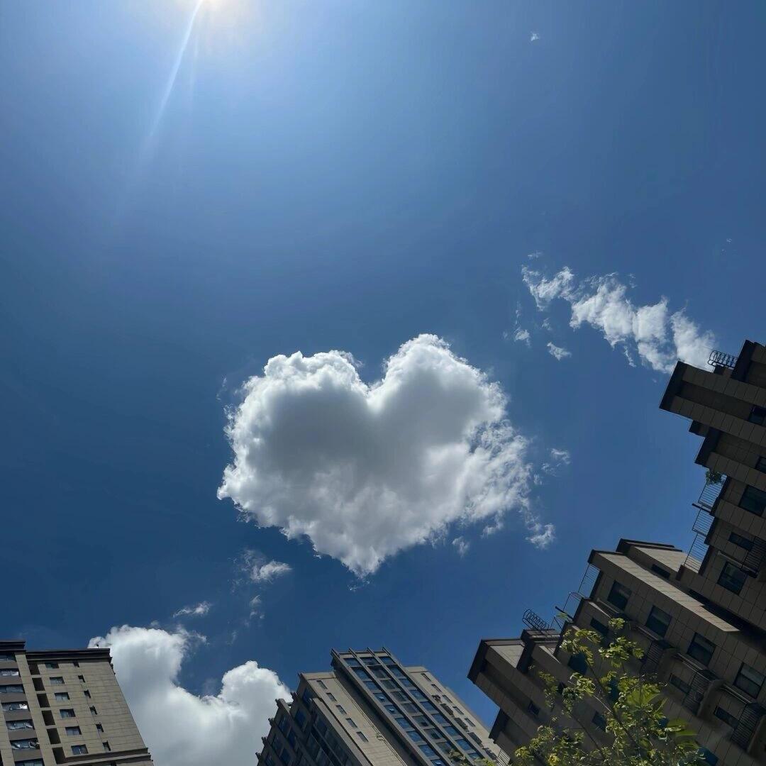 财神爷的独生女