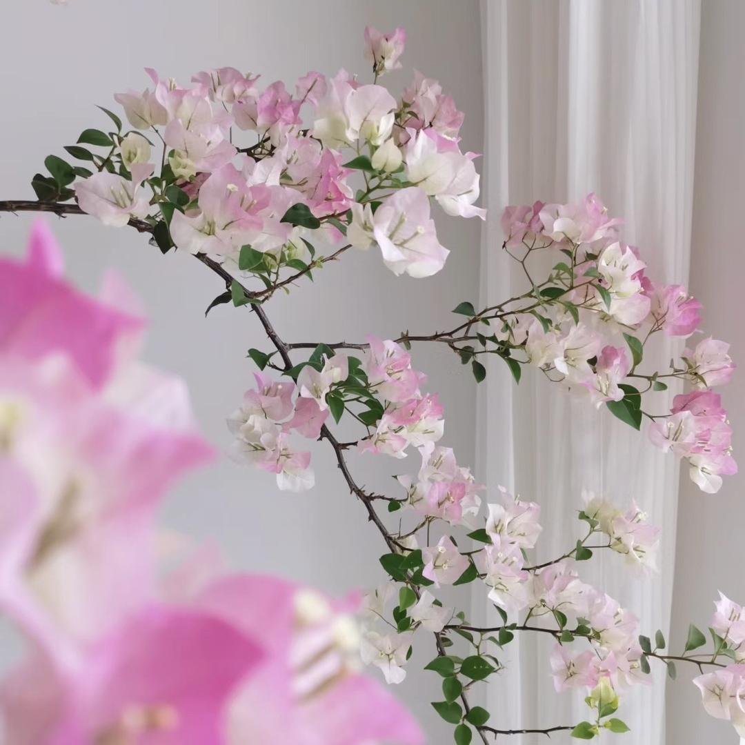 景后花舍