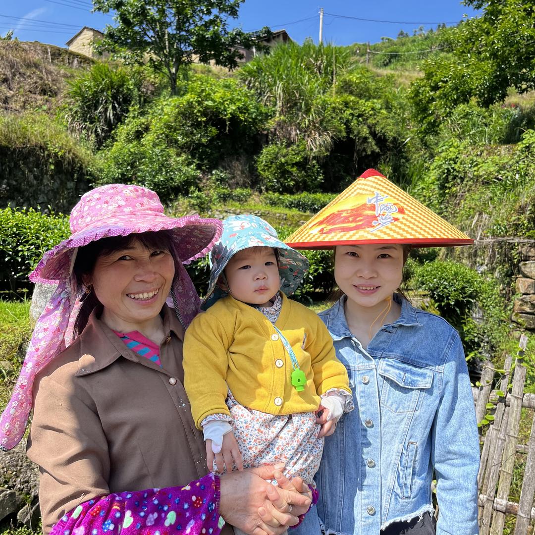 丈母娘的茶山(白茶)