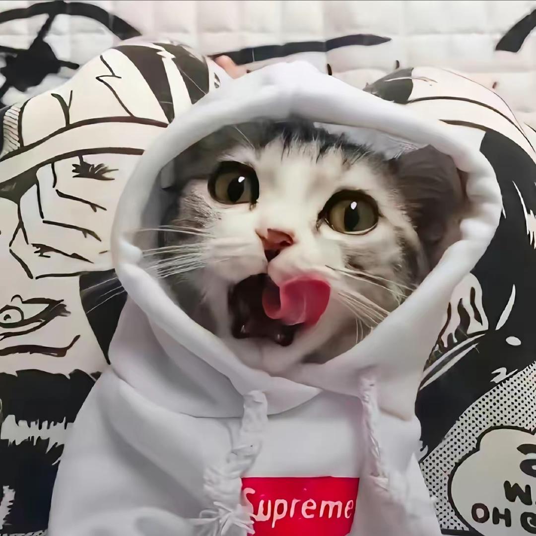 第五个月亮