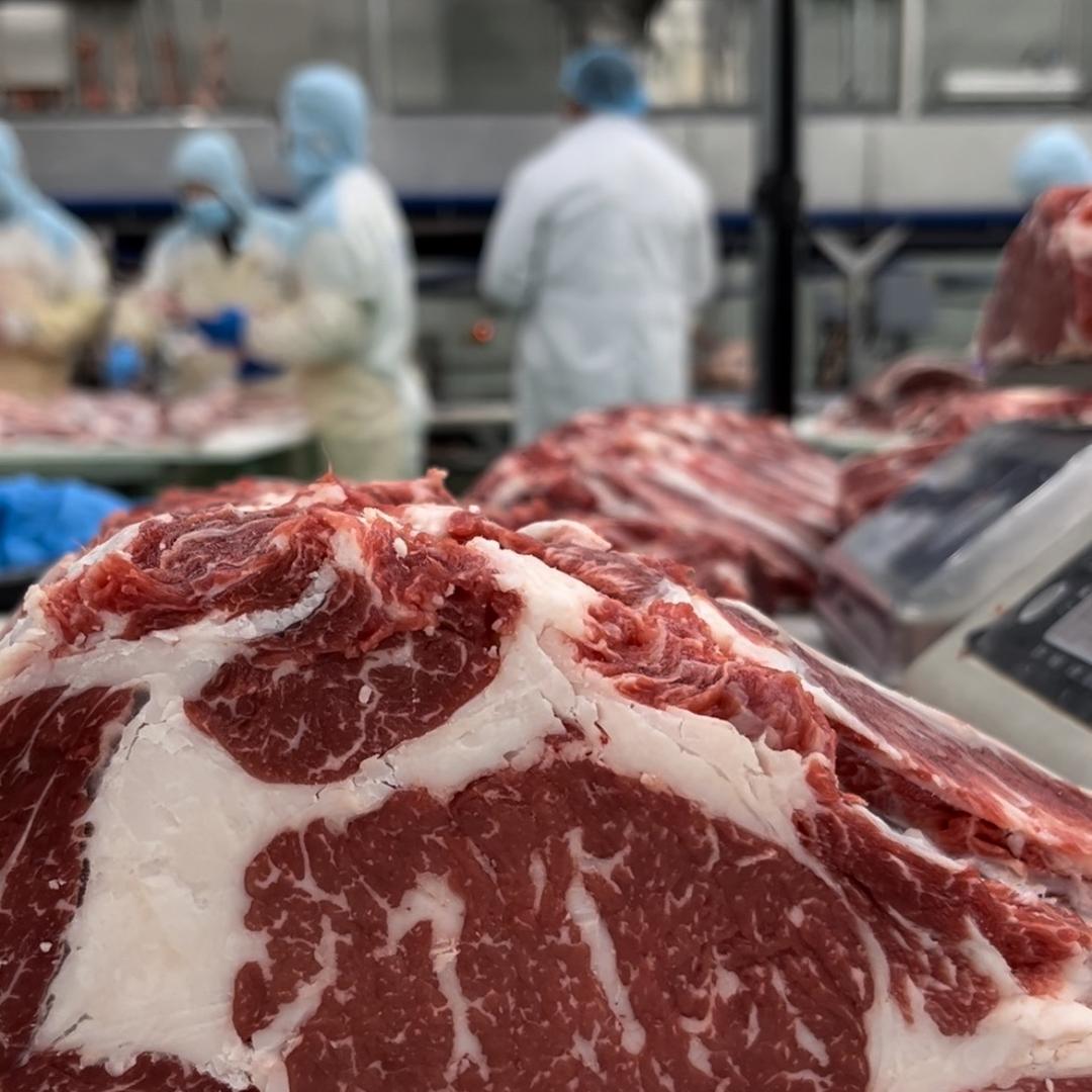 跟着厂长卖牛肉