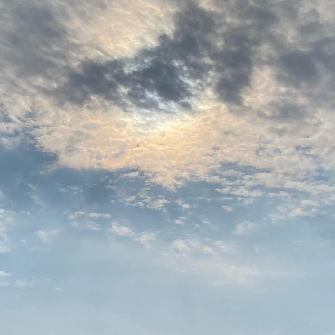 我的好爸爸
