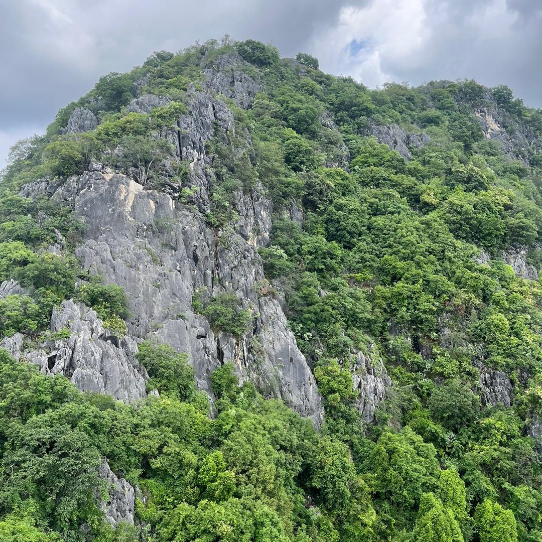 好彩淘山货