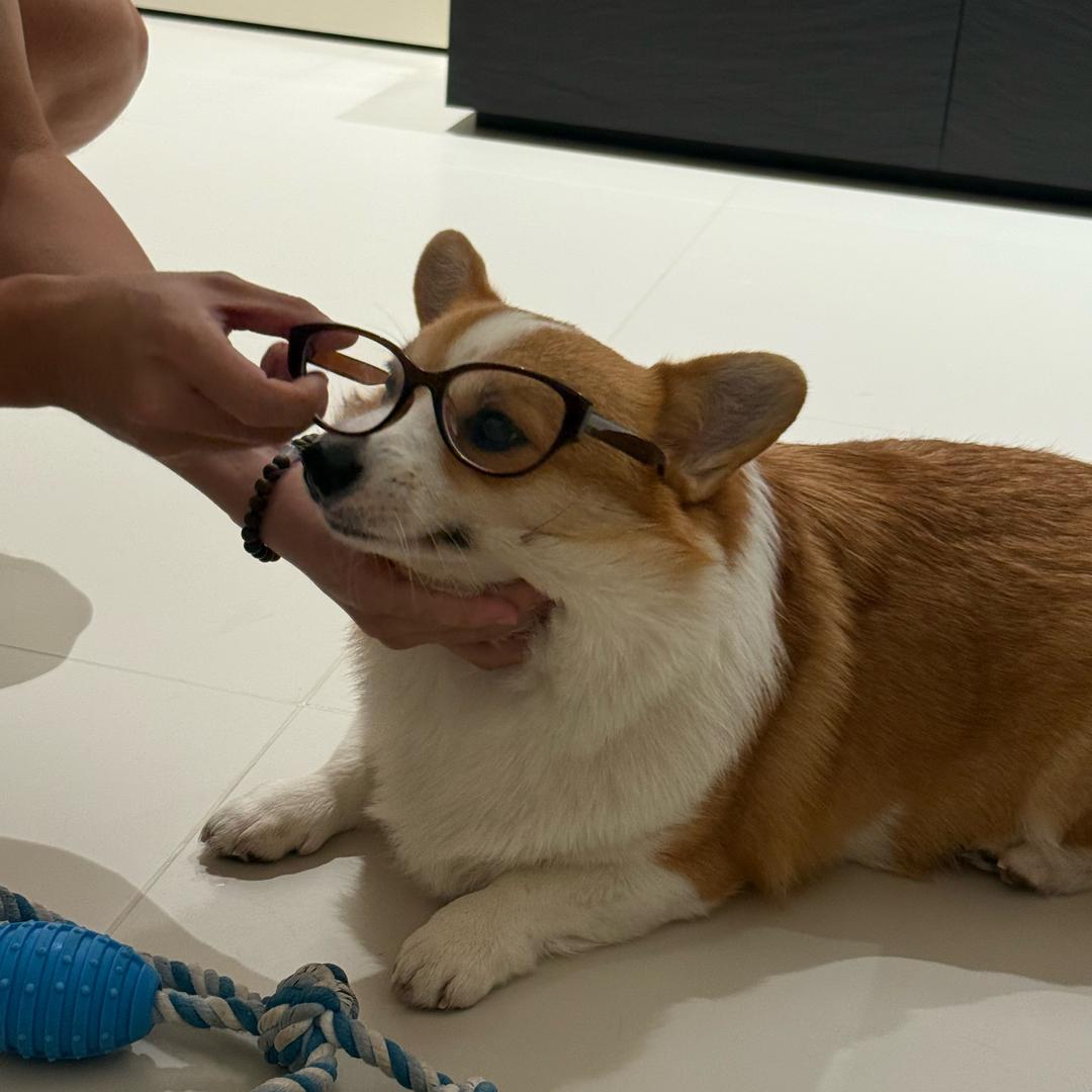 大单的快乐生活