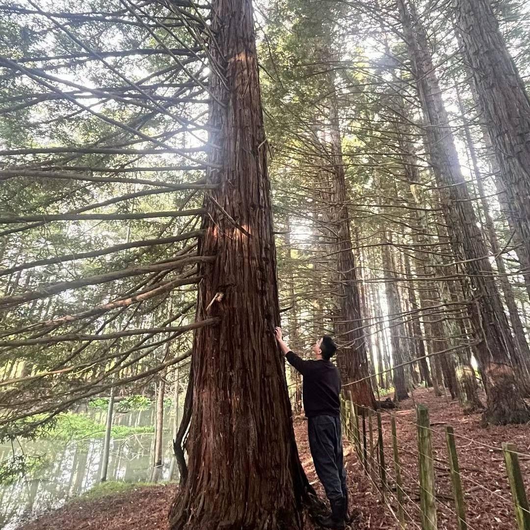 ᅟᅠ      每周五