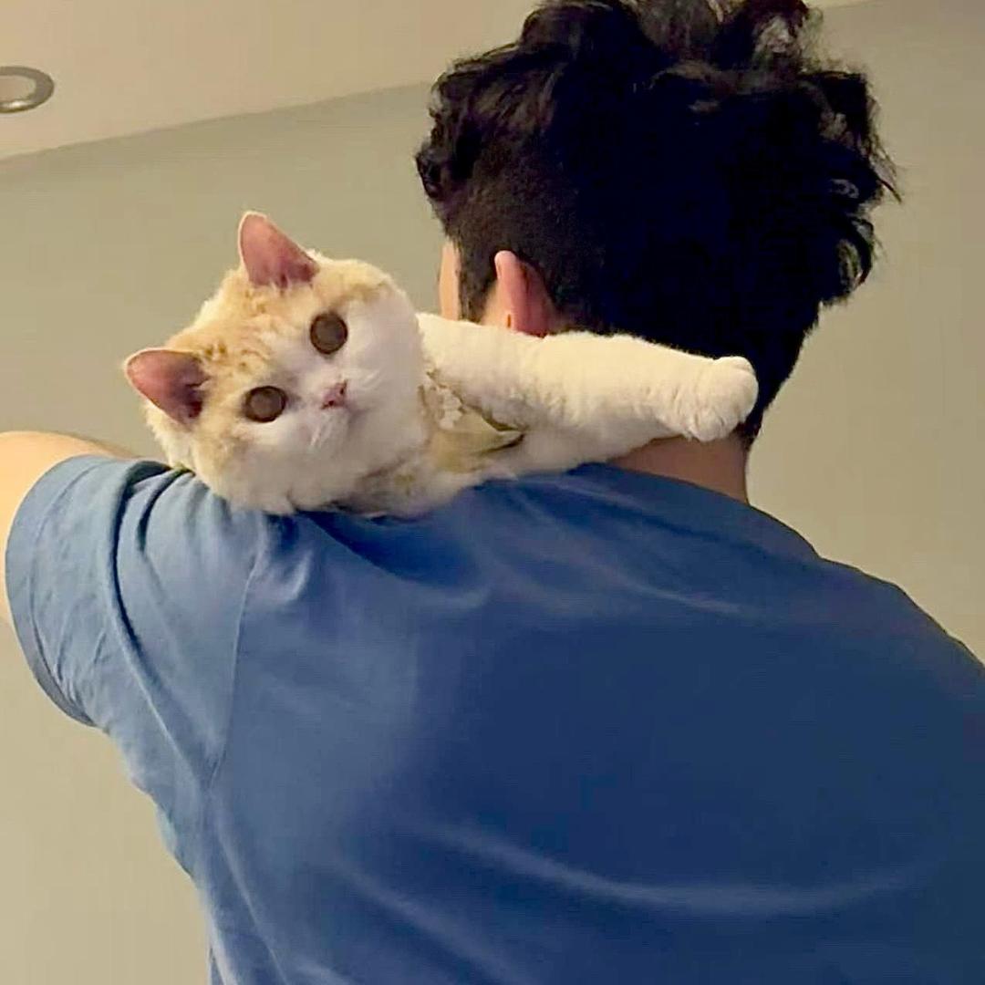 鱼香肉丝盖浇饭