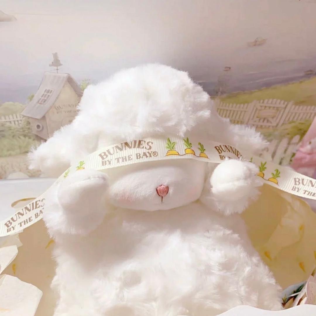 🌈🌈慵懒的喵🐱