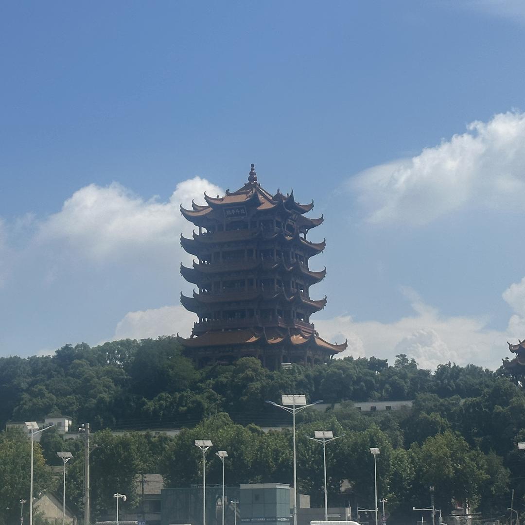 小曾曾鲜花