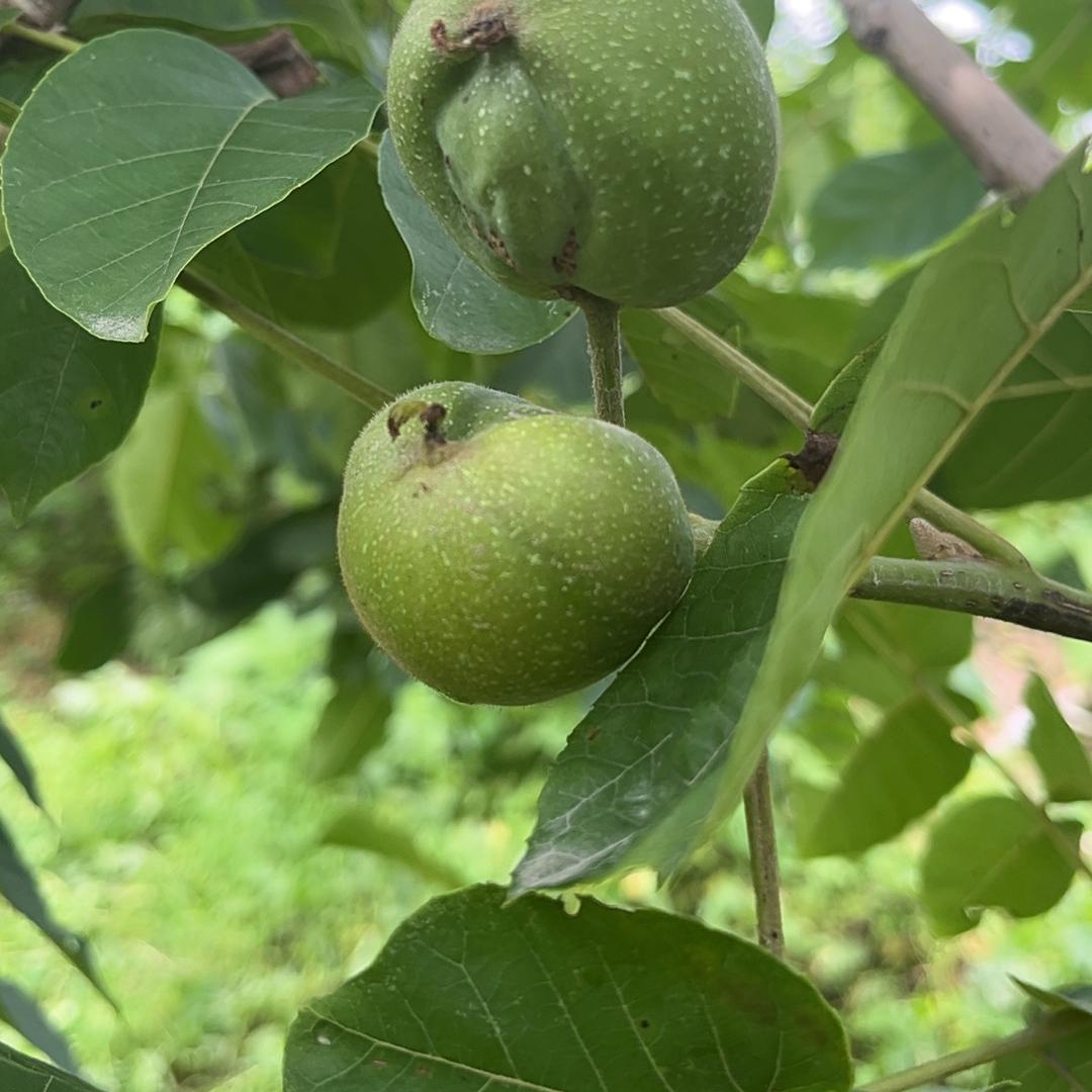恒核涞水创意工艺小铺