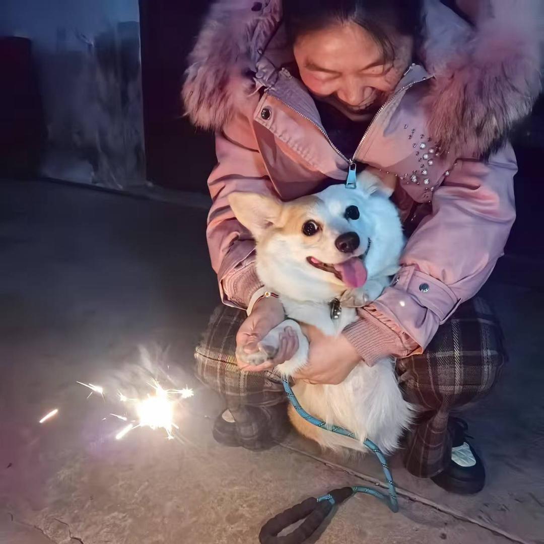 张妹（橱窗有好物）