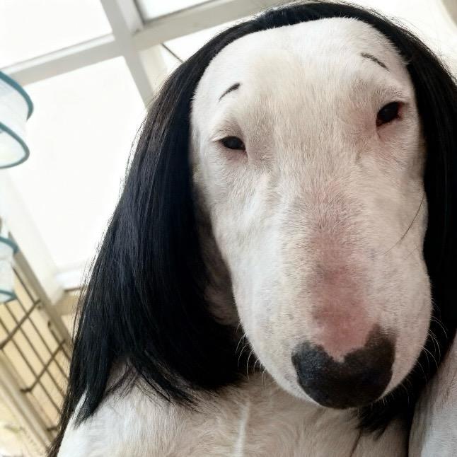 满山猴腚我最红 🫧（西北刀客）