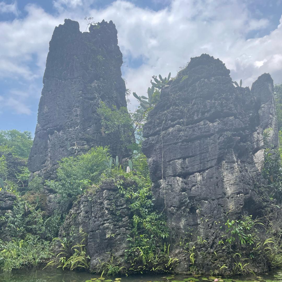 方氏手撕烤鸭