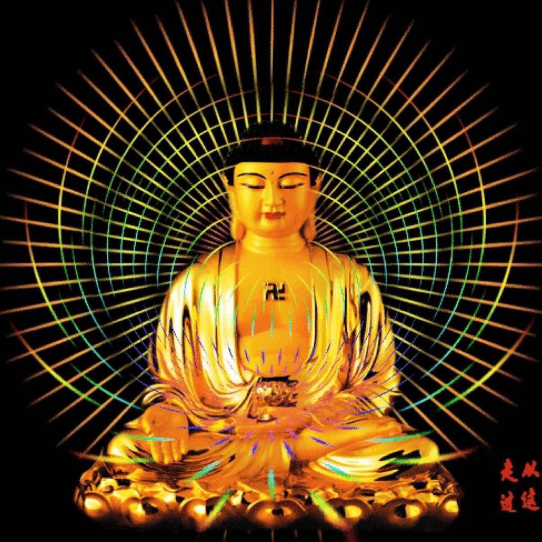 远方的我
