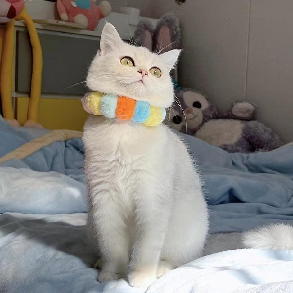 小小小妹宝