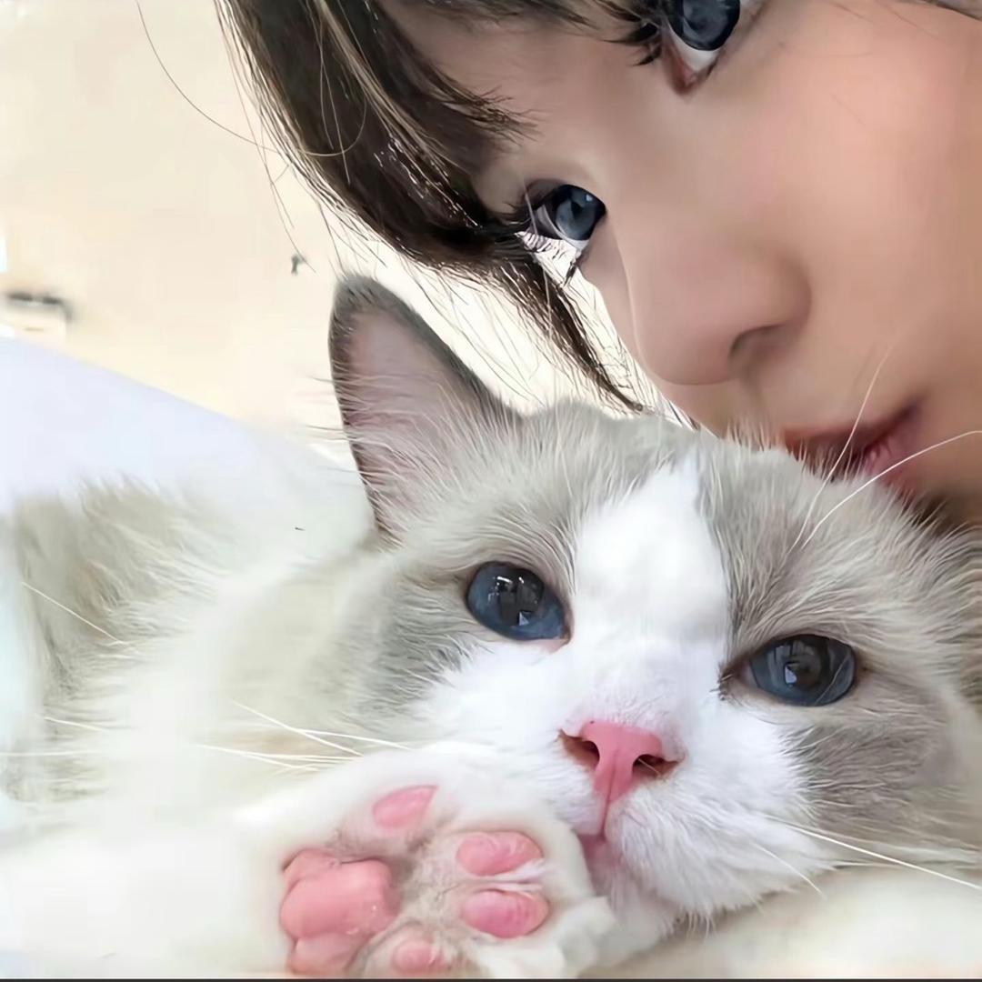 小 Ula