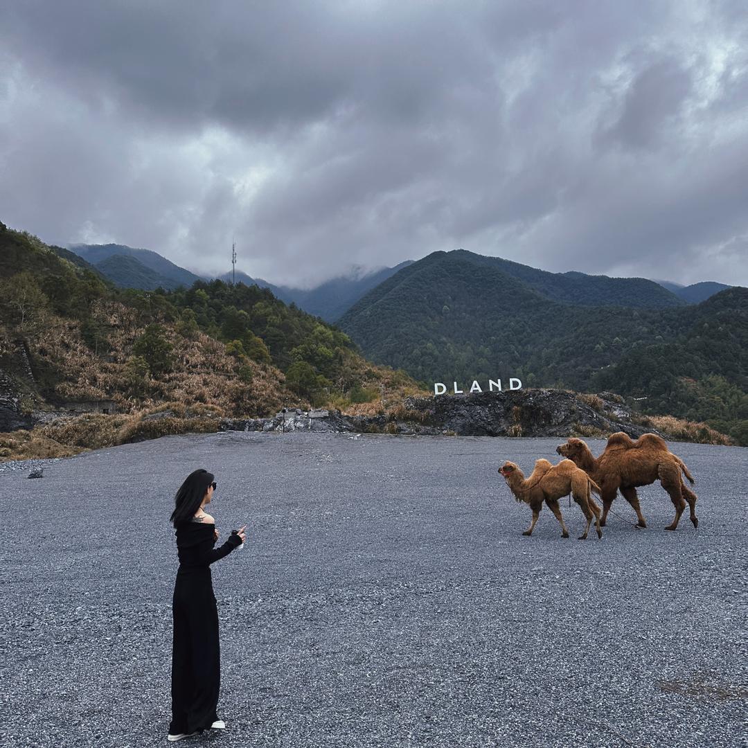 焦小鑫.