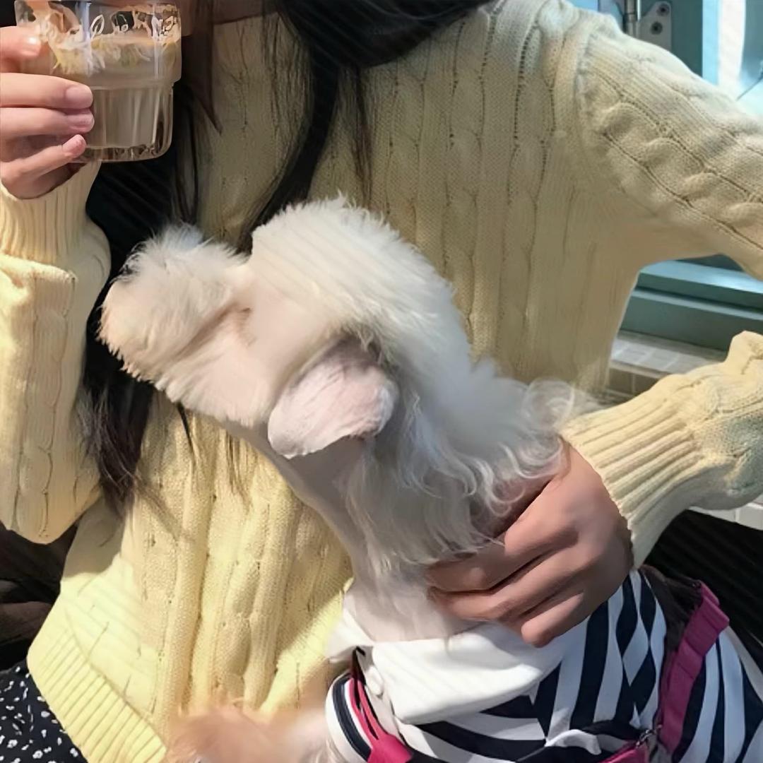 西西扣