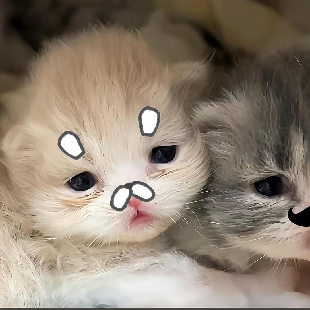 烤面筋