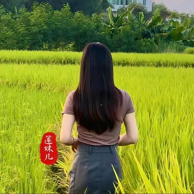 莲妹儿🌱