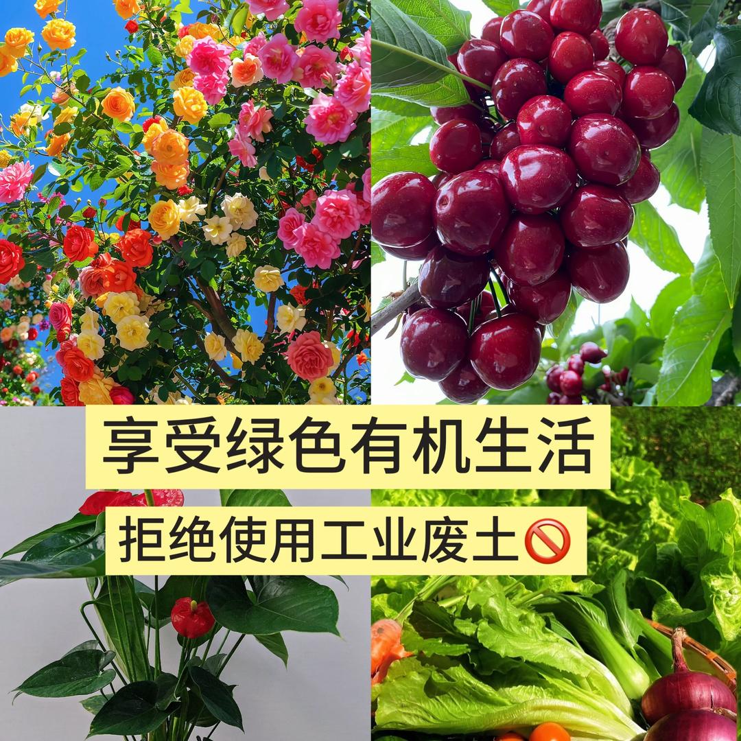 从零开始到爆盆💐