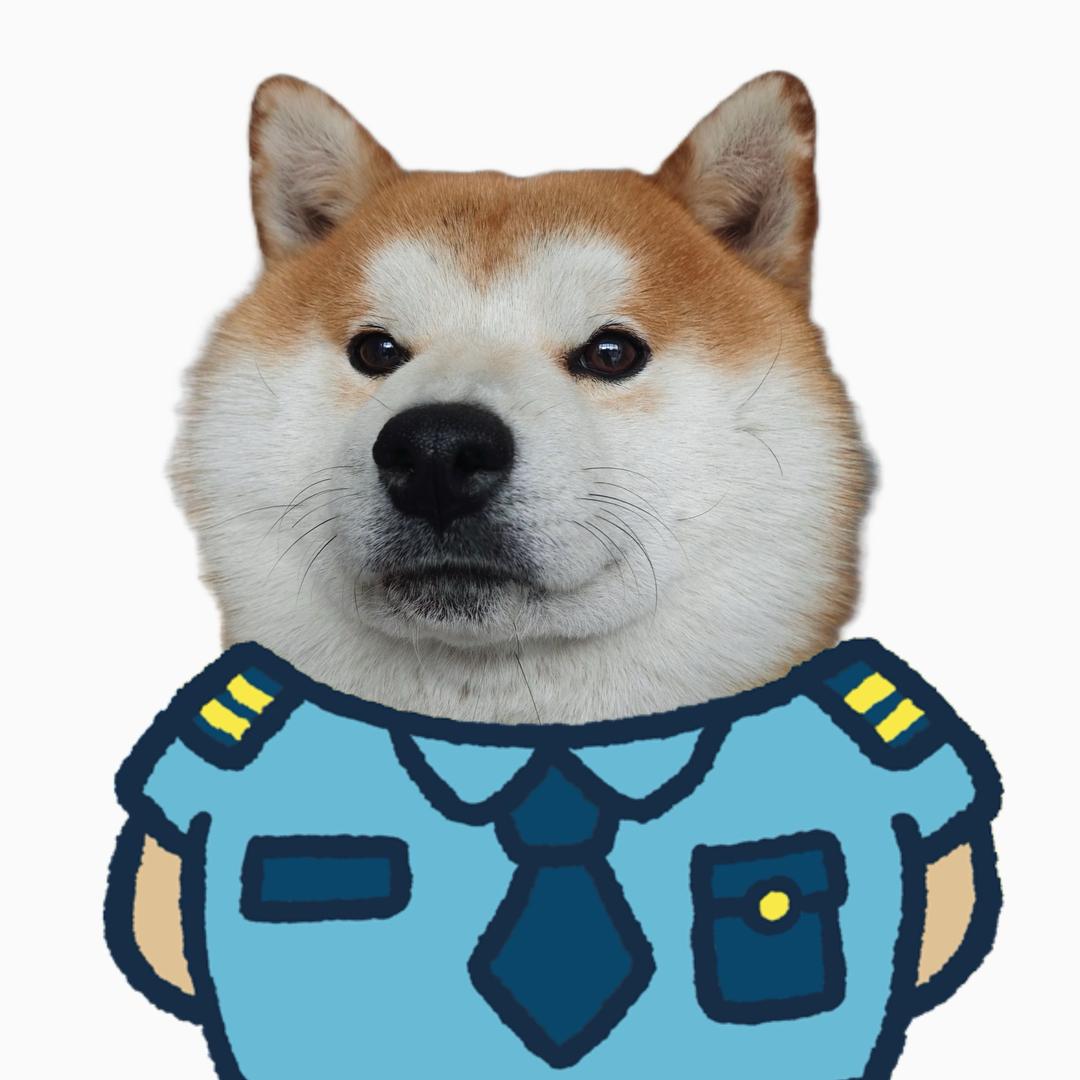 小柴轩v